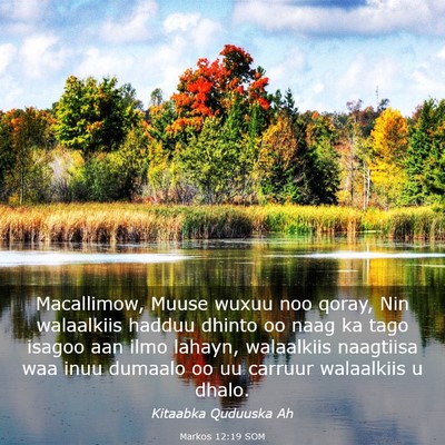 Picture 03 - Markos 12:19 SOM - Macallimow, Muuse wuxuu noo qoray, Nin walaalkiis - Bible Verse Picture