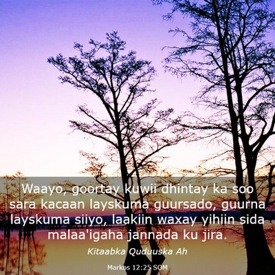Picture 03 - Markos 12:25 SOM - Waayo, goortay kuwii dhintay ka soo sara kacaan - Bible Verse Picture