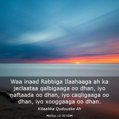 Picture 03 - Markos 12:30 SOM - Waa inaad Rabbiga Ilaahaaga ah ka jeclaataa - Bible Verse Picture