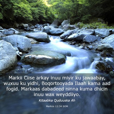 Picture 03 - Markos 12:34 SOM - Markii Ciise arkay inuu miyir ku jawaabay, wuxuu - Bible Verse Picture