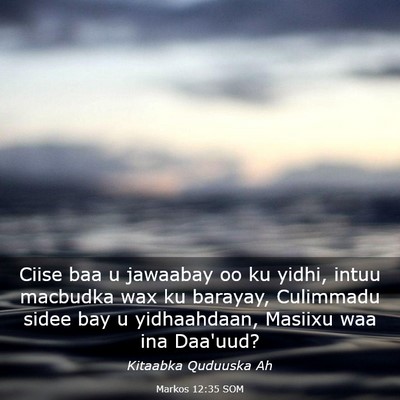 Picture 03 - Markos 12:35 SOM - Ciise baa u jawaabay oo ku yidhi, intuu macbudka - Bible Verse Picture