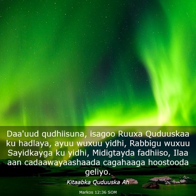 Picture 03 - Markos 12:36 SOM - Daa'uud qudhiisuna, isagoo Ruuxa Quduuskaa ku - Bible Verse Picture
