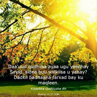 Picture 03 - Markos 12:37 SOM - Daa'uud qudhiisa ayaa ugu yeedhay Sayid, sidee - Bible Verse Picture