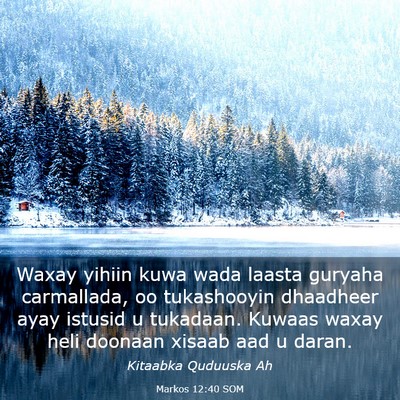 Picture 03 - Markos 12:40 SOM - Waxay yihiin kuwa wada laasta guryaha carmallada, - Bible Verse Picture