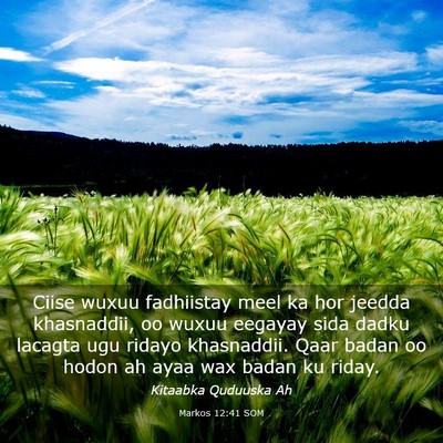 Picture 03 - Markos 12:41 SOM - Ciise wuxuu fadhiistay meel ka hor jeedda - Bible Verse Picture