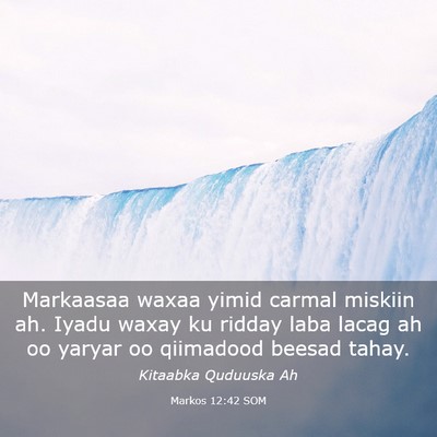 Picture 03 - Markos 12:42 SOM - Markaasaa waxaa yimid carmal miskiin ah. Iyadu - Bible Verse Picture