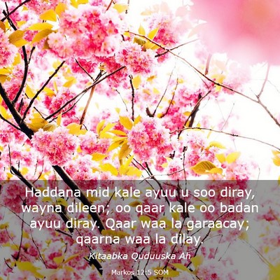 Picture 03 - Markos 12:5 SOM - Haddana mid kale ayuu u soo diray, wayna dileen; - Bible Verse Picture