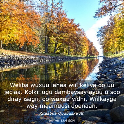 Picture 03 - Markos 12:6 SOM - Weliba wuxuu lahaa wiil keliya oo uu jeclaa. - Bible Verse Picture