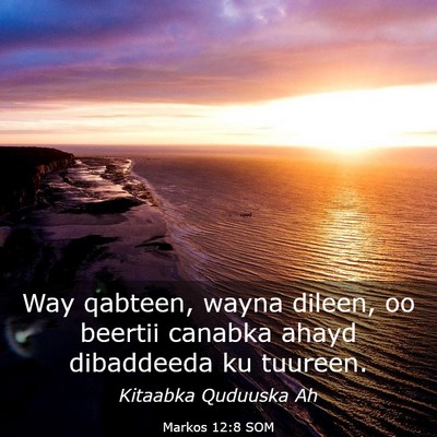 Picture 03 - Markos 12:8 SOM - Way qabteen, wayna dileen, oo beertii canabka - Bible Verse Picture