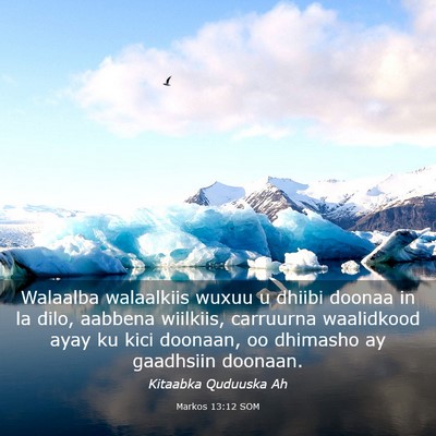 Picture 03 - Markos 13:12 SOM - Walaalba walaalkiis wuxuu u dhiibi doonaa in la - Bible Verse Picture