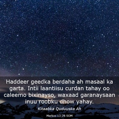Picture 03 - Markos 13:28 SOM - Haddeer geedka berdaha ah masaal ka garta. Intii - Bible Verse Picture