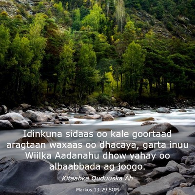 Picture 03 - Markos 13:29 SOM - Idinkuna sidaas oo kale goortaad aragtaan waxaas - Bible Verse Picture