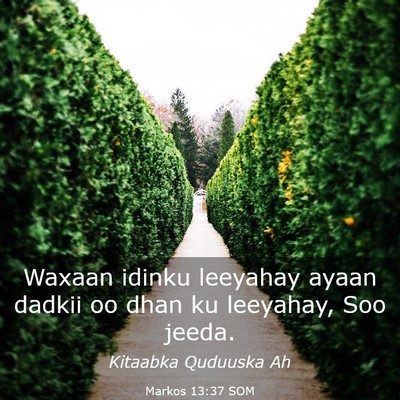 Picture 03 - Markos 13:37 SOM - Waxaan idinku leeyahay ayaan dadkii oo dhan ku - Bible Verse Picture
