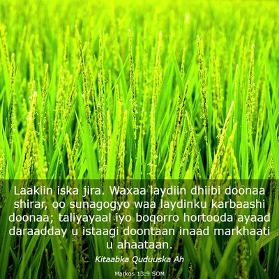 Picture 03 - Markos 13:9 SOM - Laakiin iska jira. Waxaa laydiin dhiibi doonaa - Bible Verse Picture