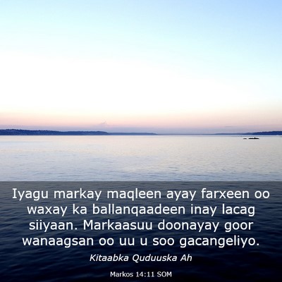 Picture 03 - Markos 14:11 SOM - Iyagu markay maqleen ayay farxeen oo waxay ka - Bible Verse Picture