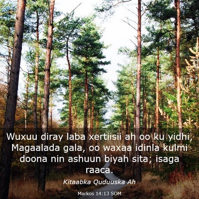 Picture 03 - Markos 14:13 SOM - Wuxuu diray laba xertiisii ah oo ku yidhi, - Bible Verse Picture