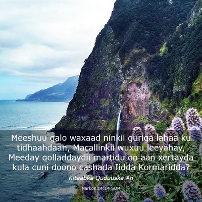 Picture 03 - Markos 14:14 SOM - Meeshuu galo waxaad ninkii guriga lahaa ku - Bible Verse Picture