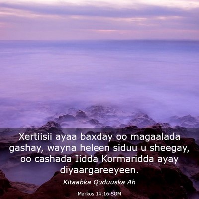 Picture 03 - Markos 14:16 SOM - Xertiisii ayaa baxday oo magaalada gashay, wayna - Bible Verse Picture