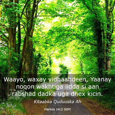 Picture 03 - Markos 14:2 SOM - Waayo, waxay yidhaahdeen, Yaanay noqon wakhtiga - Bible Verse Picture