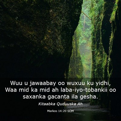 Picture 03 - Markos 14:20 SOM - Wuu u jawaabay oo wuxuu ku yidhi, Waa mid ka mid - Bible Verse Picture