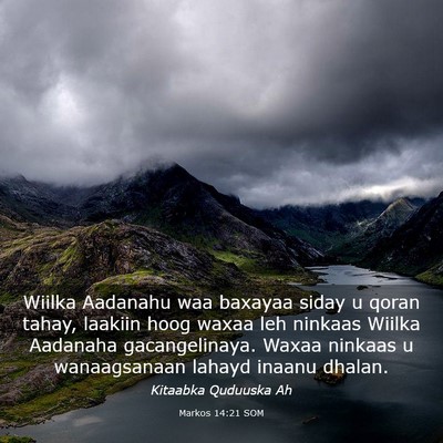 Picture 03 - Markos 14:21 SOM - Wiilka Aadanahu waa baxayaa siday u qoran tahay, - Bible Verse Picture