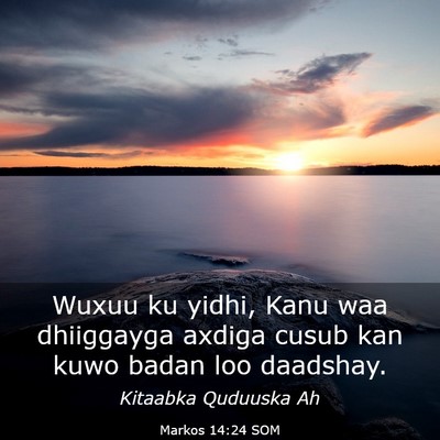 Picture 03 - Markos 14:24 SOM - Wuxuu ku yidhi, Kanu waa dhiiggayga axdiga cusub - Bible Verse Picture
