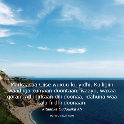 Picture 03 - Markos 14:27 SOM - Markaasaa Ciise wuxuu ku yidhi, Kulligiin waad - Bible Verse Picture
