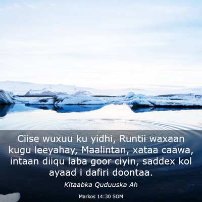 Picture 03 - Markos 14:30 SOM - Ciise wuxuu ku yidhi, Runtii waxaan kugu - Bible Verse Picture