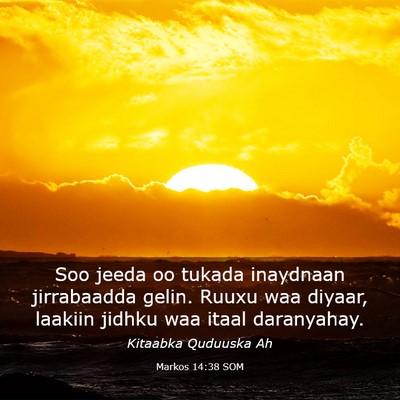 Picture 03 - Markos 14:38 SOM - Soo jeeda oo tukada inaydnaan jirrabaadda gelin. - Bible Verse Picture