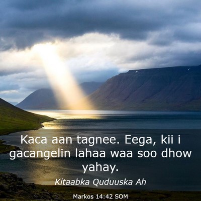 Picture 03 - Markos 14:42 SOM - Kaca aan tagnee. Eega, kii i gacangelin lahaa waa - Bible Verse Picture