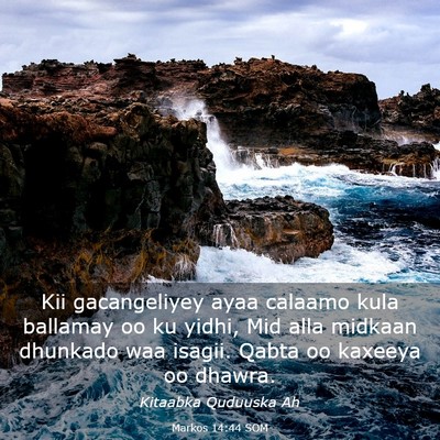 Picture 03 - Markos 14:44 SOM - Kii gacangeliyey ayaa calaamo kula ballamay oo ku - Bible Verse Picture