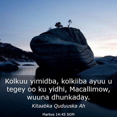 Picture 03 - Markos 14:45 SOM - Kolkuu yimidba, kolkiiba ayuu u tegey oo ku - Bible Verse Picture