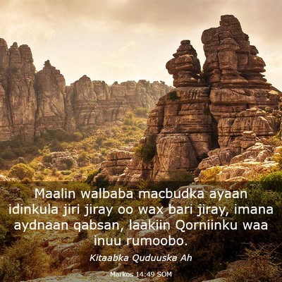 Picture 03 - Markos 14:49 SOM - Maalin walbaba macbudka ayaan idinkula jiri jiray - Bible Verse Picture