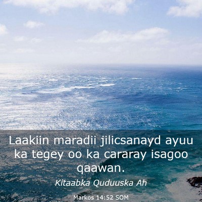 Picture 03 - Markos 14:52 SOM - Laakiin maradii jilicsanayd ayuu ka tegey oo ka - Bible Verse Picture