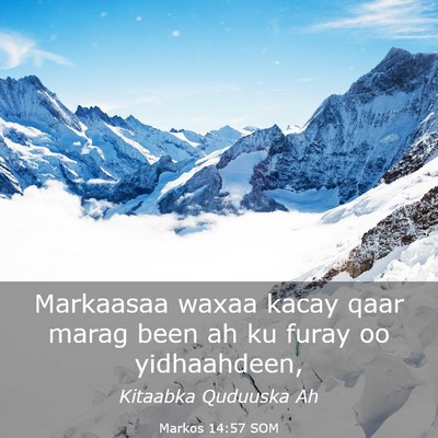 Picture 03 - Markos 14:57 SOM - Markaasaa waxaa kacay qaar marag been ah ku furay - Bible Verse Picture