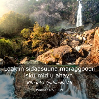 Picture 03 - Markos 14:59 SOM - Laakiin sidaasuuna maraggoodii isku mid u - Bible Verse Picture