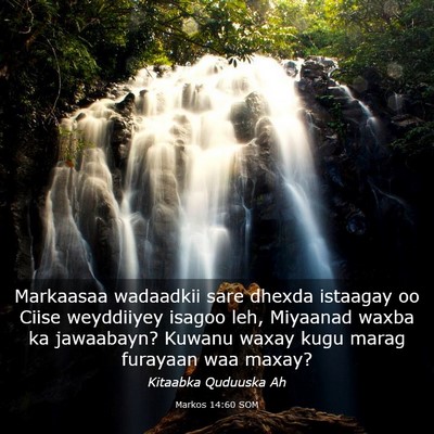 Picture 03 - Markos 14:60 SOM - Markaasaa wadaadkii sare dhexda istaagay oo Ciise - Bible Verse Picture