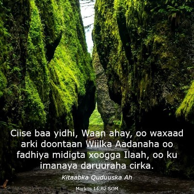 Picture 03 - Markos 14:62 SOM - Ciise baa yidhi, Waan ahay, oo waxaad arki - Bible Verse Picture