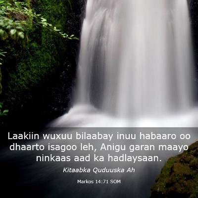 Picture 03 - Markos 14:71 SOM - Laakiin wuxuu bilaabay inuu habaaro oo dhaarto - Bible Verse Picture