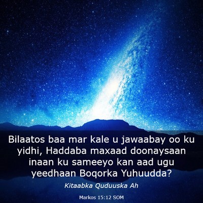 Picture 03 - Markos 15:12 SOM - Bilaatos baa mar kale u jawaabay oo ku yidhi, - Bible Verse Picture
