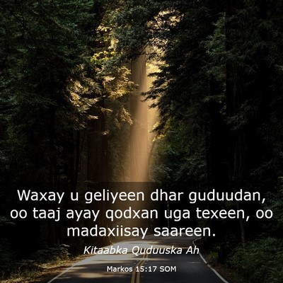Picture 03 - Markos 15:17 SOM - Waxay u geliyeen dhar guduudan, oo taaj ayay - Bible Verse Picture