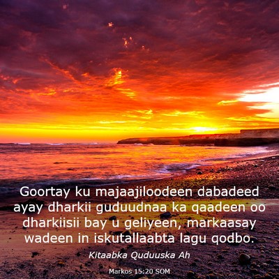 Picture 03 - Markos 15:20 SOM - Goortay ku majaajiloodeen dabadeed ayay dharkii - Bible Verse Picture