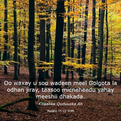 Picture 03 - Markos 15:22 SOM - Oo waxay u soo wadeen meel Golgota la odhan - Bible Verse Picture