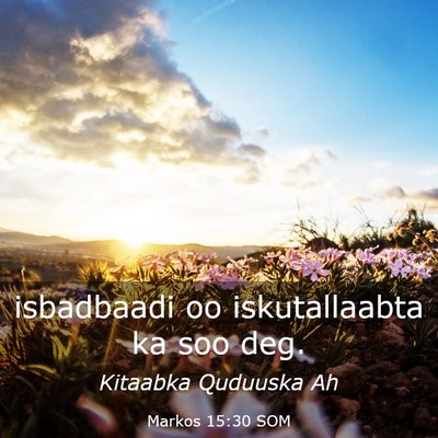 Picture 03 - Markos 15:30 SOM - isbadbaadi oo iskutallaabta ka soo - Bible Verse Picture