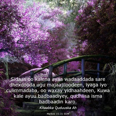Picture 03 - Markos 15:31 SOM - Sidaas oo kalena ayaa wadaaddada sare dhexdooda - Bible Verse Picture