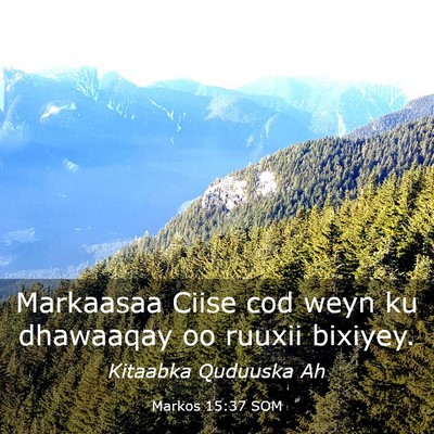 Picture 03 - Markos 15:37 SOM - Markaasaa Ciise cod weyn ku dhawaaqay oo ruuxii - Bible Verse Picture
