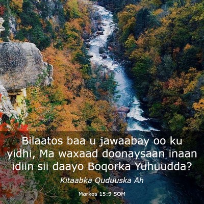Picture 03 - Markos 15:9 SOM - Bilaatos baa u jawaabay oo ku yidhi, Ma waxaad - Bible Verse Picture
