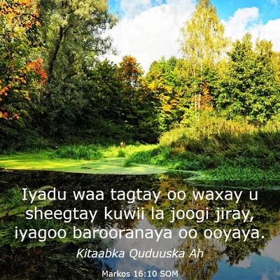 Picture 03 - Markos 16:10 SOM - Iyadu waa tagtay oo waxay u sheegtay kuwii la - Bible Verse Picture