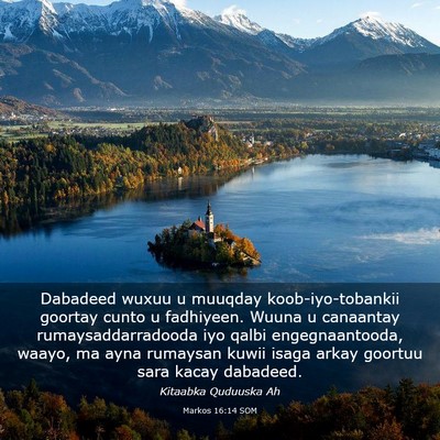 Picture 03 - Markos 16:14 SOM - Dabadeed wuxuu u muuqday koob-iyo-tobankii - Bible Verse Picture
