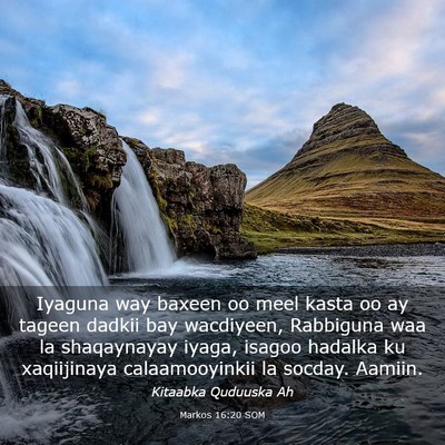 Picture 03 - Markos 16:20 SOM - Iyaguna way baxeen oo meel kasta oo ay tageen - Bible Verse Picture